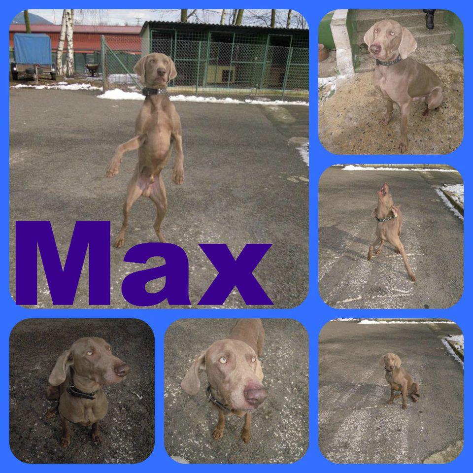 Max..