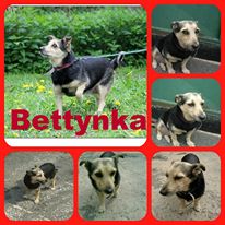 Bettynka